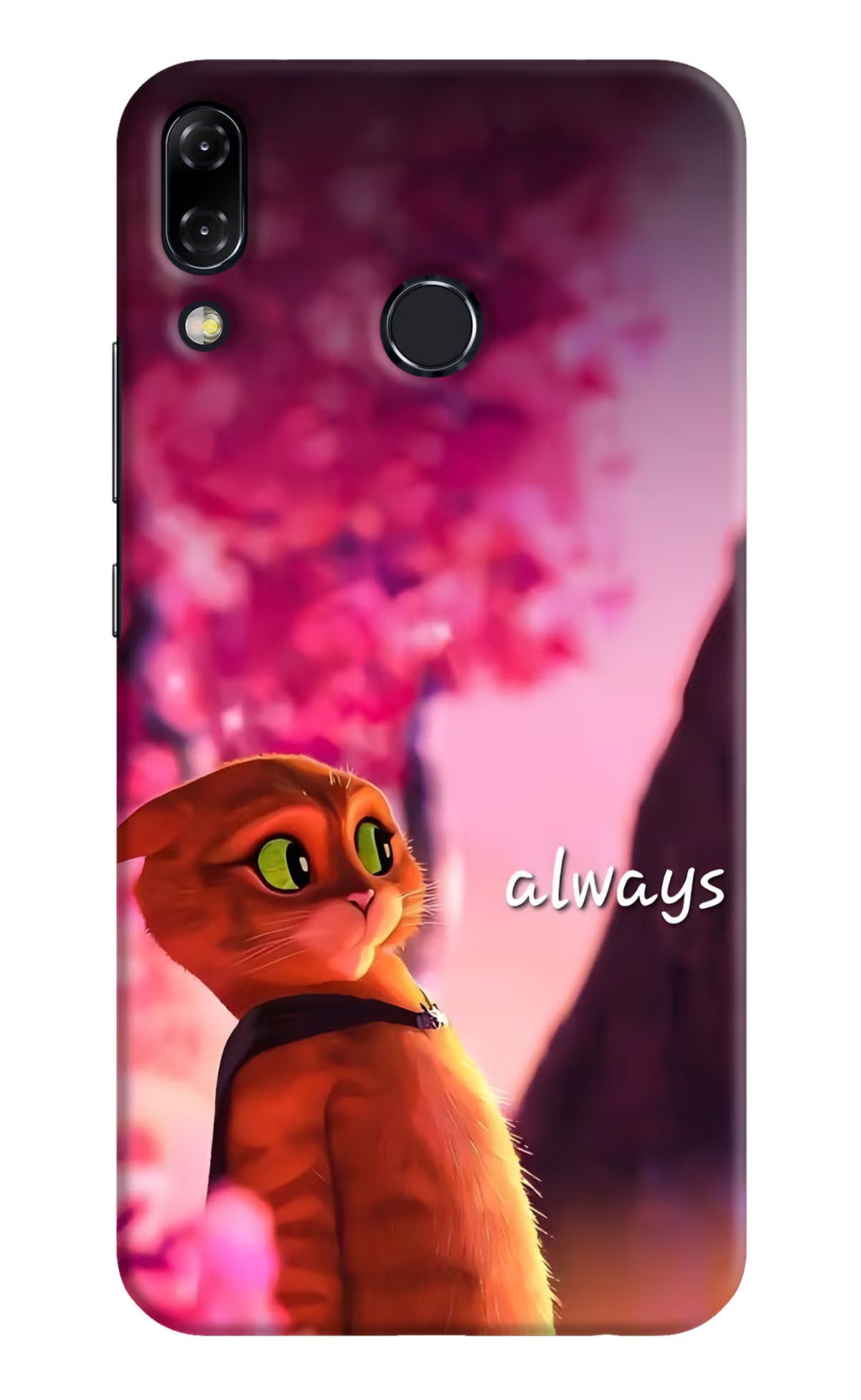 Always Cat Asus Zenfone 5Z Hard Case Back Cover by Casekaro
