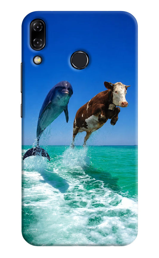 Dolphin vs Cow Asus Zenfone 5Z Hard Case Back Cover by Casekaro