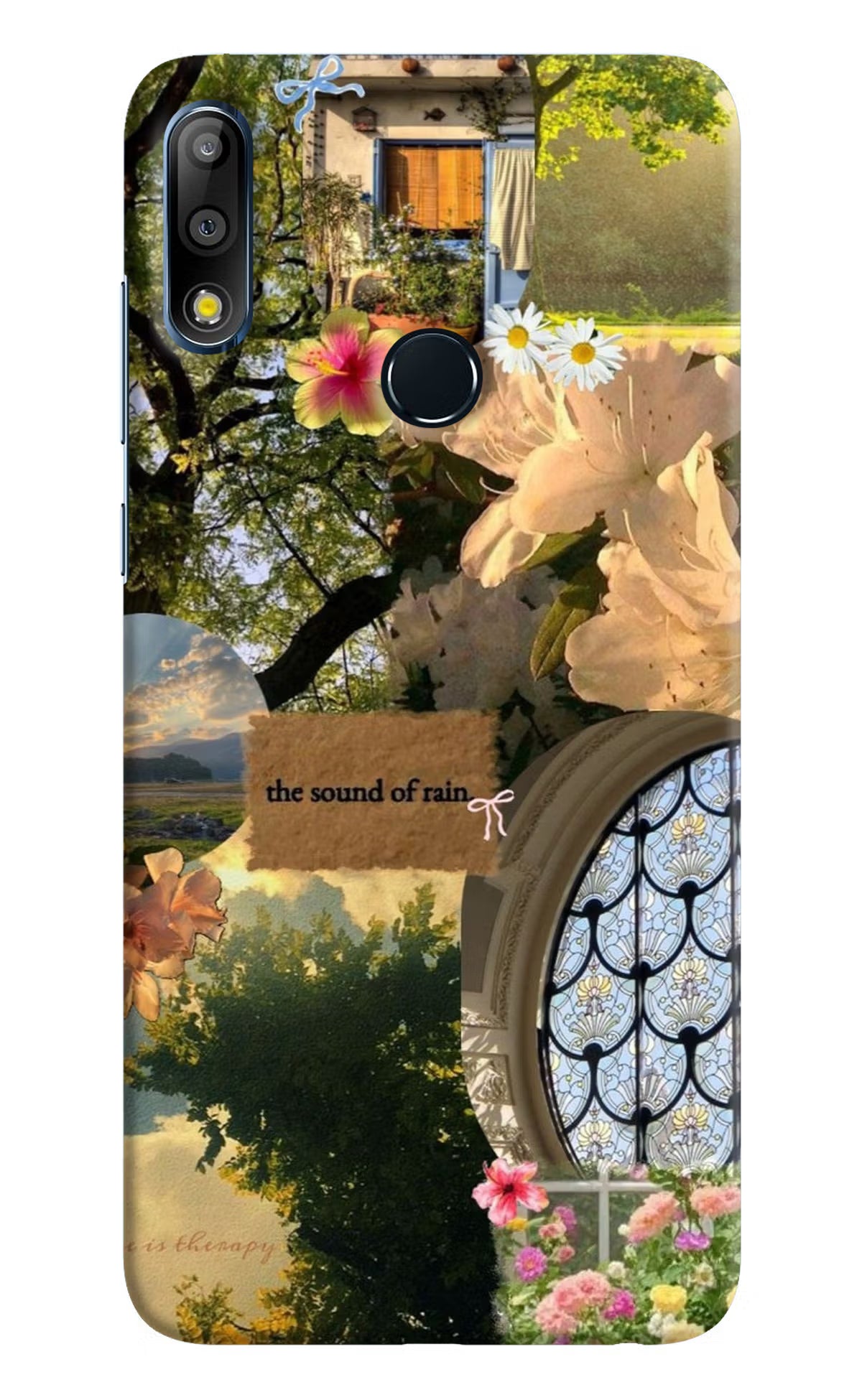 Rain Asus Zenfone Max Pro M2 Hard Case Back Cover by Casekaro