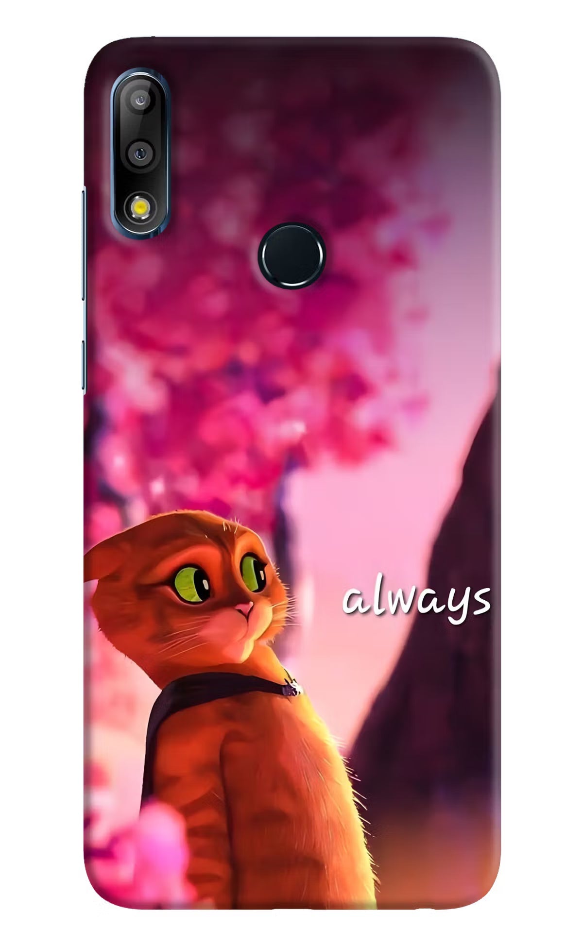 Always Cat Asus Zenfone Max Pro M2 Hard Case Back Cover by Casekaro