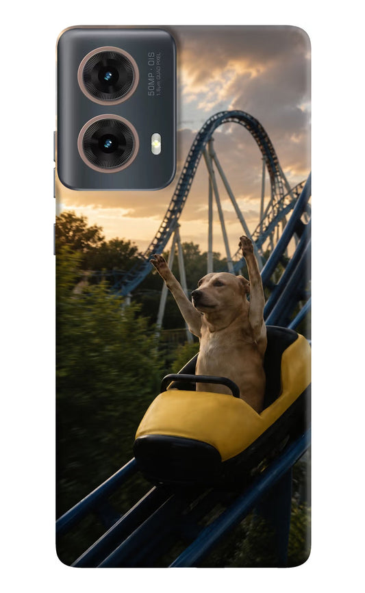Rollercoaster Dog Motorola G85 Hard Case Back Cover by Casekaro