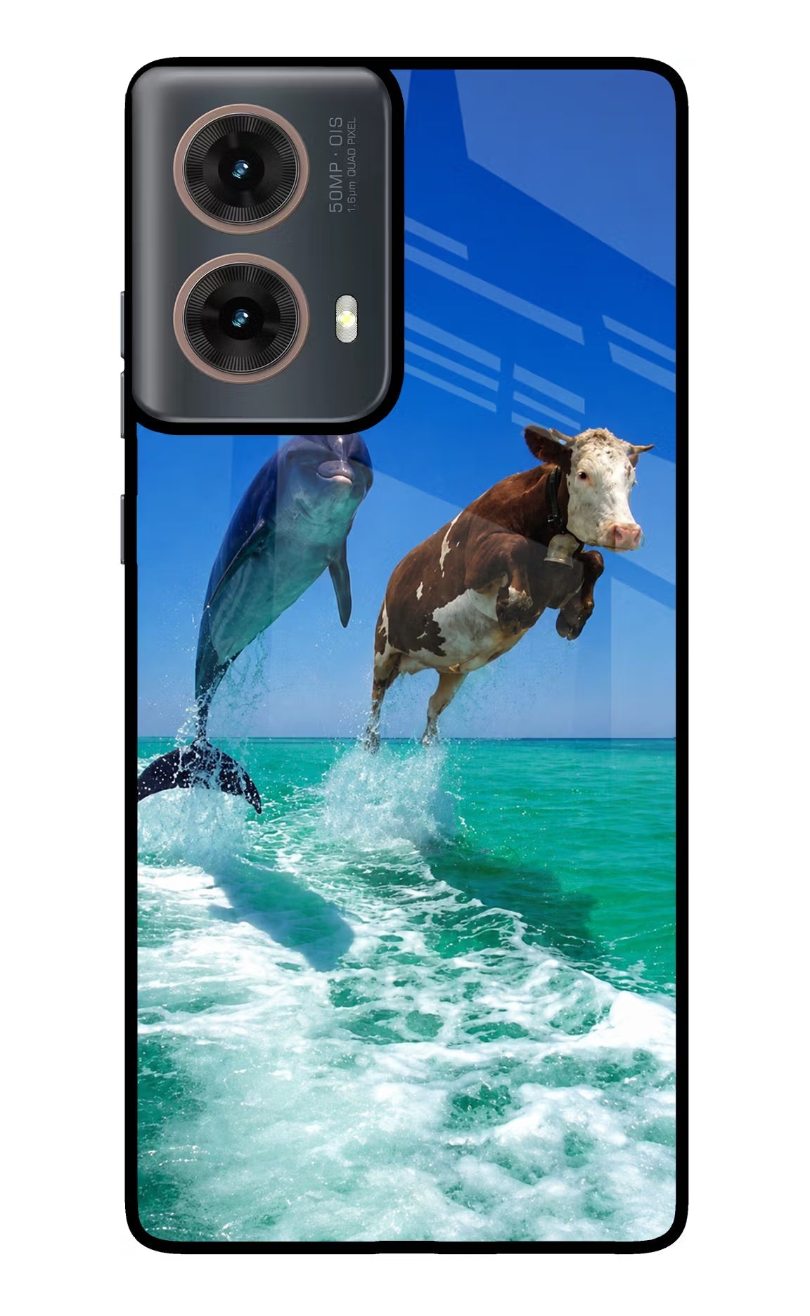 Dolphin vs Cow Motorola G85 Glass Case Back Cover by Casekaro