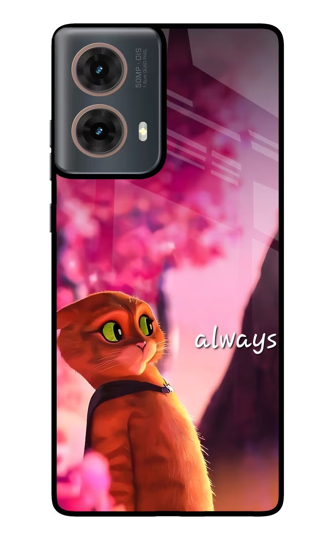 Always Cat Motorola G85 Metal Case Back Cover by Casekaro